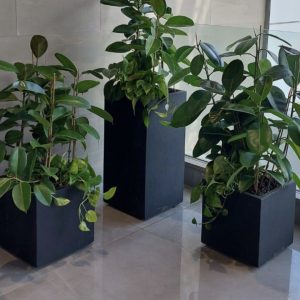 כד רבוע ישר 30*30*60