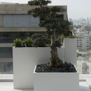 קוביות 100*100*100