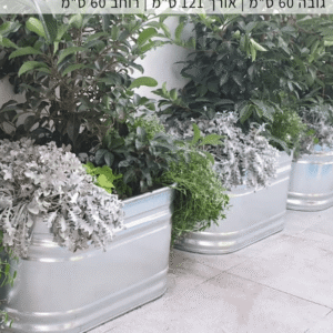אדנית מברזל מגולוון